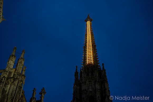 Billi Thanner_Himmelsleiter_Stephansdom_(c)_Nadja Meister_DSC02034