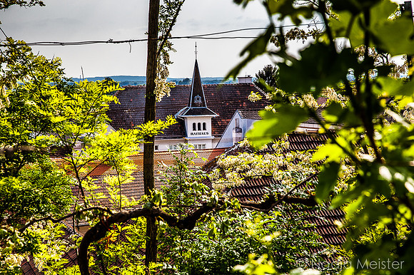 Landpartie WAGRAM_Orte Spaziergang_(c)_Nadja Meister_IMG_7919