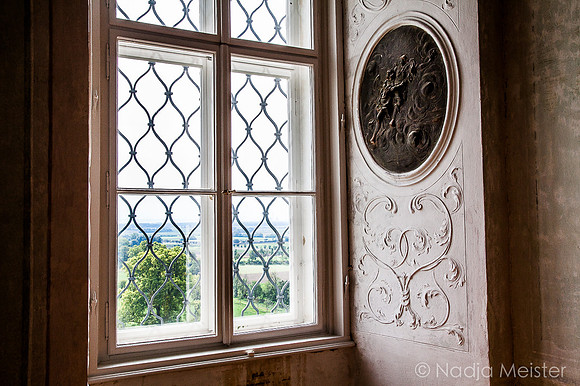 Landpartie WAGRAM_Stetteldorf_Schloss&Platane_(c)_Nadja Meister_IMG_2326