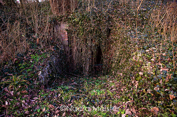 Wullersdorf_by_Nadja Meister_IMG_9839