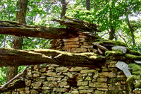 old homes in chesnut trees_(c)_Nadja Meister_IMG_0805
