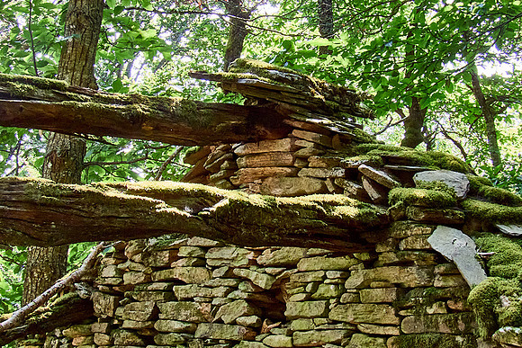 old homes in chesnut trees_(c)_Nadja Meister_IMG_0805