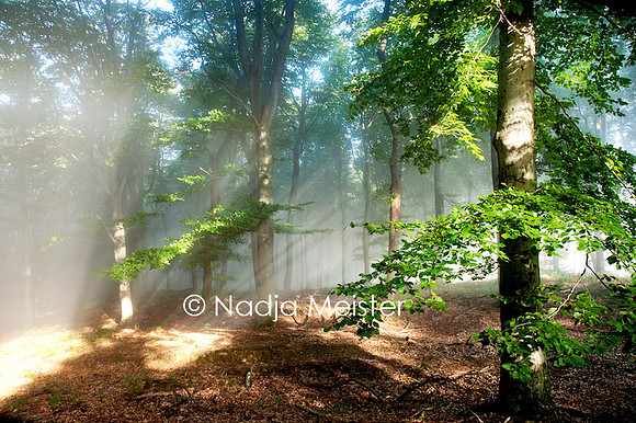 Archiv_by_Nadja Meister_IMG_0308