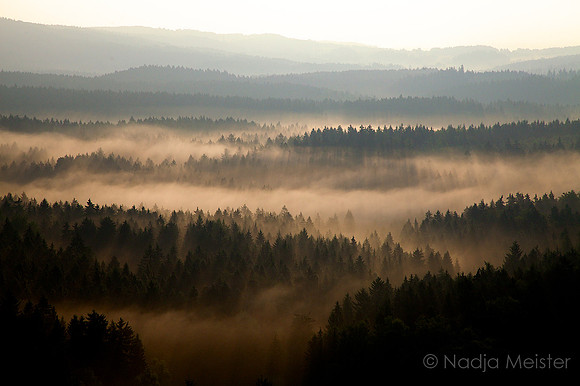 Sächsische Schweiz_by_Nadja Meister_IMG_7329