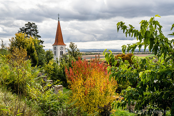 Landpartie WAGRAM_Orte Spaziergang_(c)_Nadja Meister_DSC01442