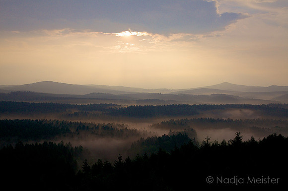 Sächsische Schweiz_by_Nadja Meister_IMG_7312