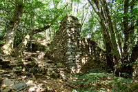 old homes in chesnut trees_(c)_Nadja Meister_IMG_0766