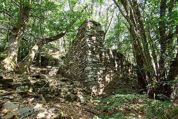 old homes in chesnut trees_(c)_Nadja Meister_IMG_0766