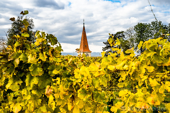 Landpartie WAGRAM_Orte Spaziergang_(c)_Nadja Meister_DSC01414