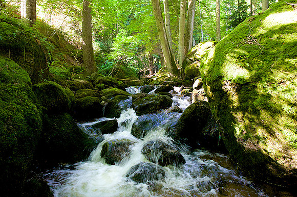 Tanz in der Klamm_by_Nadja Meister_IMG_6455