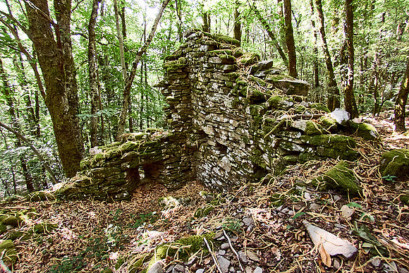 old homes in chesnut trees_(c)_Nadja Meister_IMG_0772