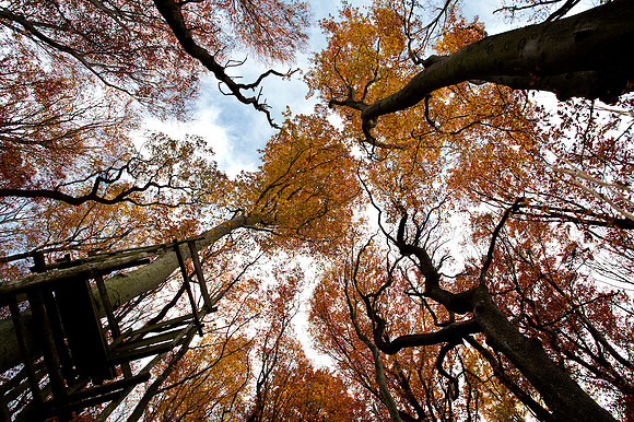 Wienerwald_by Nadja Meister_IMG_5770