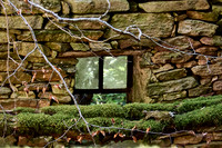 old homes in chesnut trees_(c)_Nadja Meister_IMG_0803