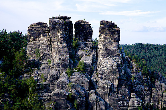 Sächsische Schweiz_by_Nadja Meister_IMG_7463
