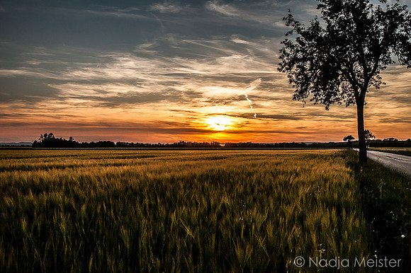 Landpartie WAGRAM & Weitblick_(c)_Nadja Meister_IMG_4071
