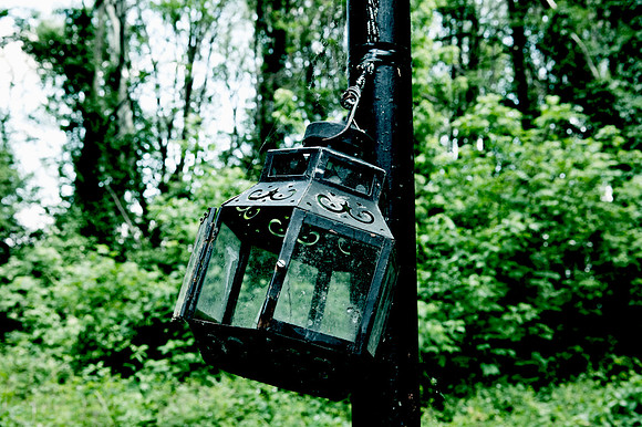 Friedhof der Namenlosen_(c)_Nadja Meister_