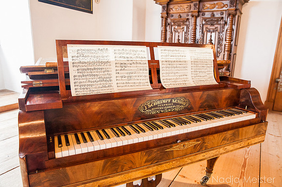 Rosenburg_(c)_Nadja Meister_IMG_1340