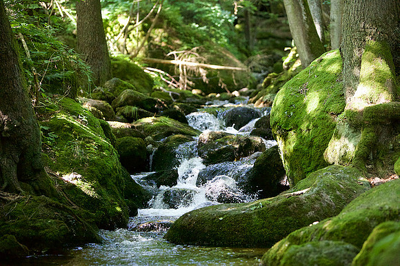 Tanz in der Klamm_by_Nadja Meister_IMG_6250