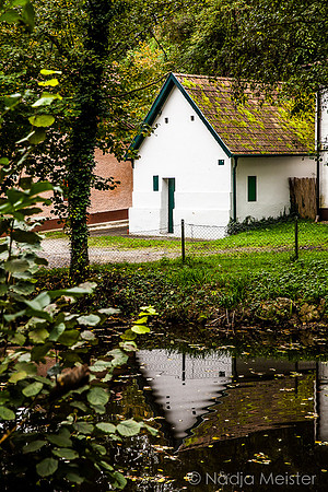 Landpartie WAGRAM_Hohlwege&Kellegasse_(c)_Nadja Meister_IMG_3096