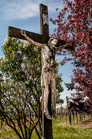 Landpartie WAGRAM & Wegmarken_(c)_Nadja Meister_IMG_9559