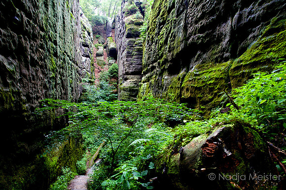 Sächsische Schweiz_by_Nadja Meister_IMG_7351