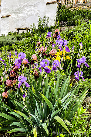 Landpartie WAGRAM_Königsbrunn am Wagram & Pfarrgarten&Kunstraum_(c)_Nadja Meister_IMG_2644-2