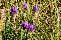 Oberweiden Sandberge_(c)_Nadja Meister_IMG_0273