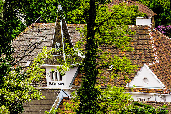Landpartie WAGRAM_Orte Spaziergang_(c)_Nadja Meister_IMG_9970