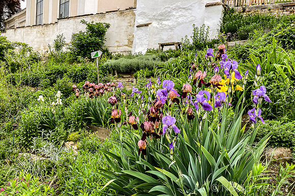 Landpartie WAGRAM_Königsbrunn am Wagram & Pfarrgarten&Kunstraum_(c)_Nadja Meister_IMG_2644