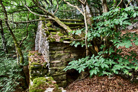 old homes in chesnut trees_(c)_Nadja Meister_IMG_0779