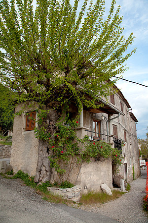 Stanjel_by_Nadja Meister_IMG_8275