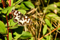 Weinkendorfer Remise_(c)_Nadja Meister_IMG_0208 1