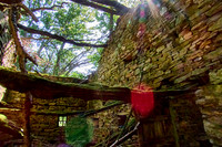 old homes in chesnut trees_(c)_Nadja Meister_IMG_0813