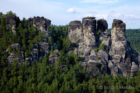 Sächsische Schweiz_by_Nadja Meister_IMG_7455