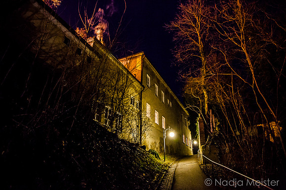 Landpartie WAGRAM_Orte Spaziergang_(c)_Nadja Meister_IMG_3228