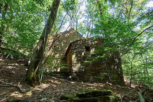 old homes in chesnut trees_(c)_Nadja Meister_IMG_0820