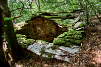 old homes in chesnut trees_(c)_Nadja Meister_IMG_0785