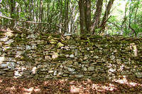 old homes in chesnut trees_(c)_Nadja Meister_IMG_0761
