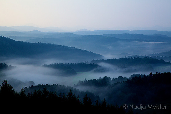 Sächsische Schweiz_by_Nadja Meister_IMG_7326