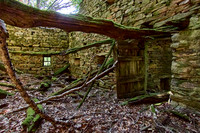 old homes in chesnut trees_(c)_Nadja Meister_IMG_0809