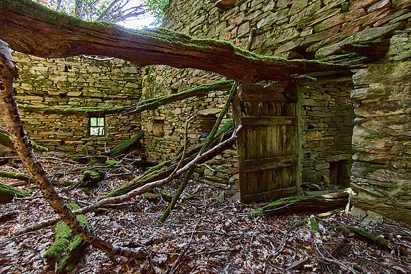 old homes in chesnut trees_(c)_Nadja Meister_IMG_0809