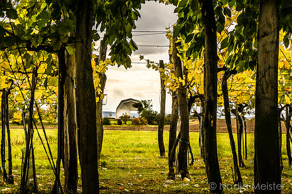 Landpartie WAGRAM_Orte Spaziergang_(c)_Nadja Meister_DSC01477