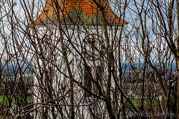 Landpartie WAGRAM_Orte Spaziergang_(c)_Nadja Meister_IMG_8320