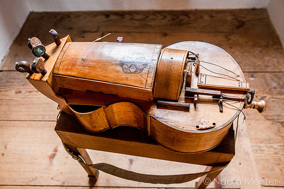 Rosenburg_(c)_Nadja Meister_IMG_1334
