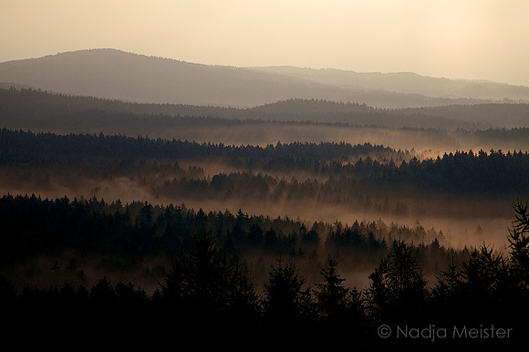Sächsische Schweiz_by_Nadja Meister_IMG_7311