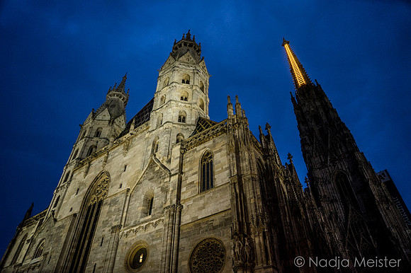 Billi Thanner_Himmelsleiter_Stephansdom_(c)_Nadja Meister_DSC02032