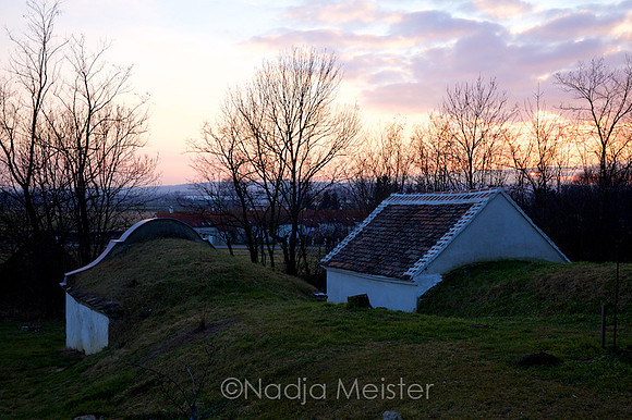 Wullersdorf_by_Nadja Meister_IMG_9850