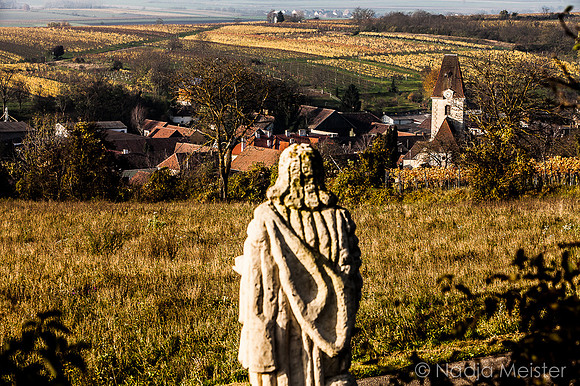 Landpartie WAGRAM_Orte Spaziergang_(c)_Nadja Meister_IMG_7077