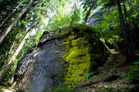 Sächsische Schweiz_by_Nadja Meister_IMG_7644