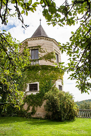 Rosenburg_(c)_Nadja Meister_IMG_1506